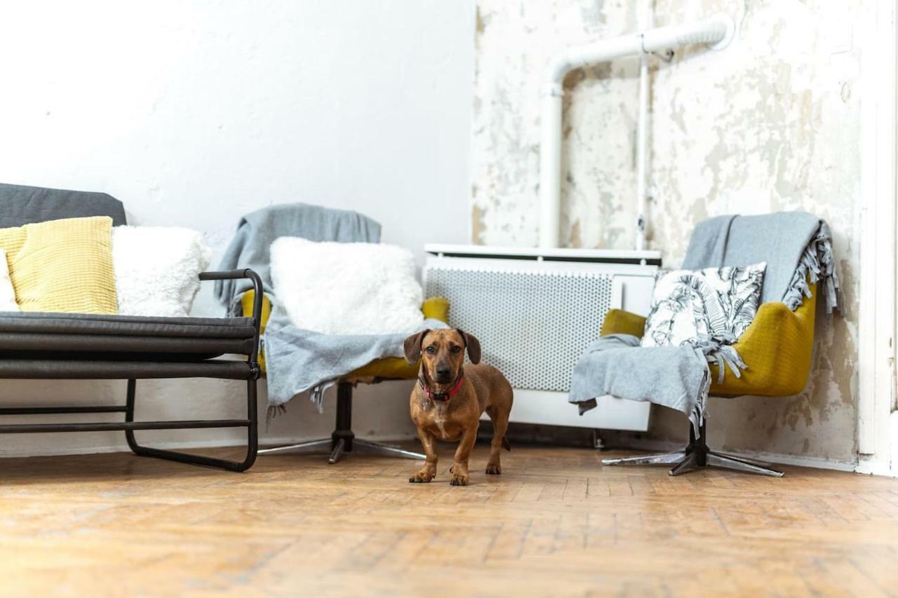 A Szoba Apartman Pětikostelí Exteriér fotografie